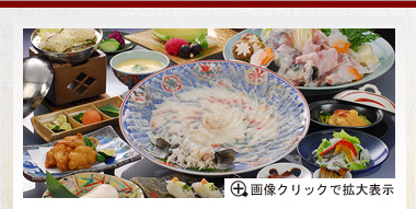 ふくフルコースプラン