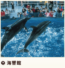 海響観