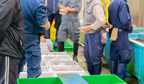 南風泊市場：画像